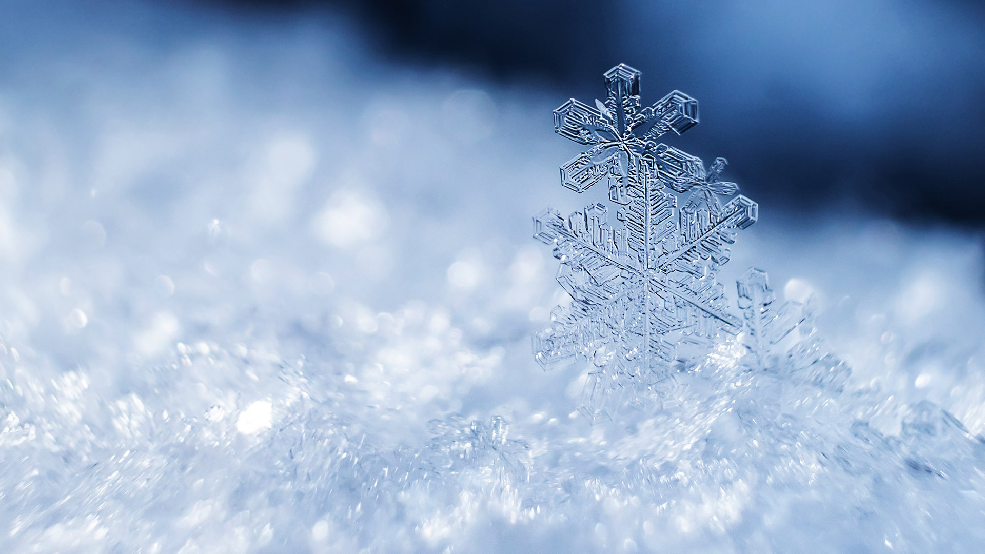 ¿Qué relación hay entre los cristales de nieve y la nieve en general?