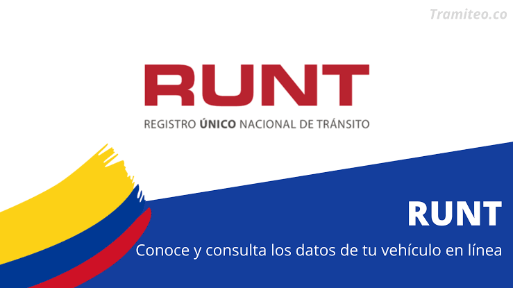 Runt por cédula en Colombia: Consulta, certificados y más