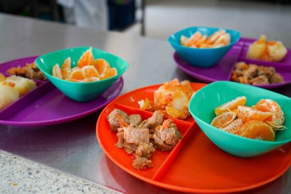 Investigación PAE Colombia