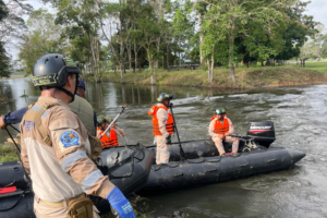 Búsqueda médico veterinario