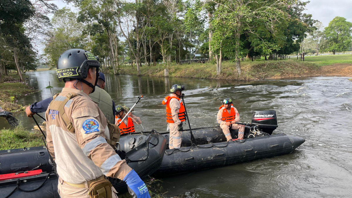 Búsqueda médico veterinario