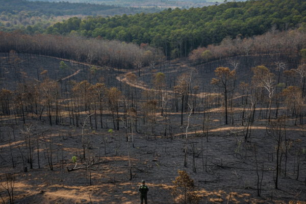 Quemas Isla Salamanca