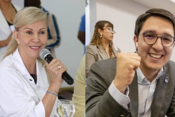 Dilian Toro CNE Violencia Política