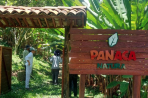 Plan Ambiental Panaca
