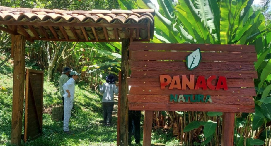 Plan Ambiental Panaca